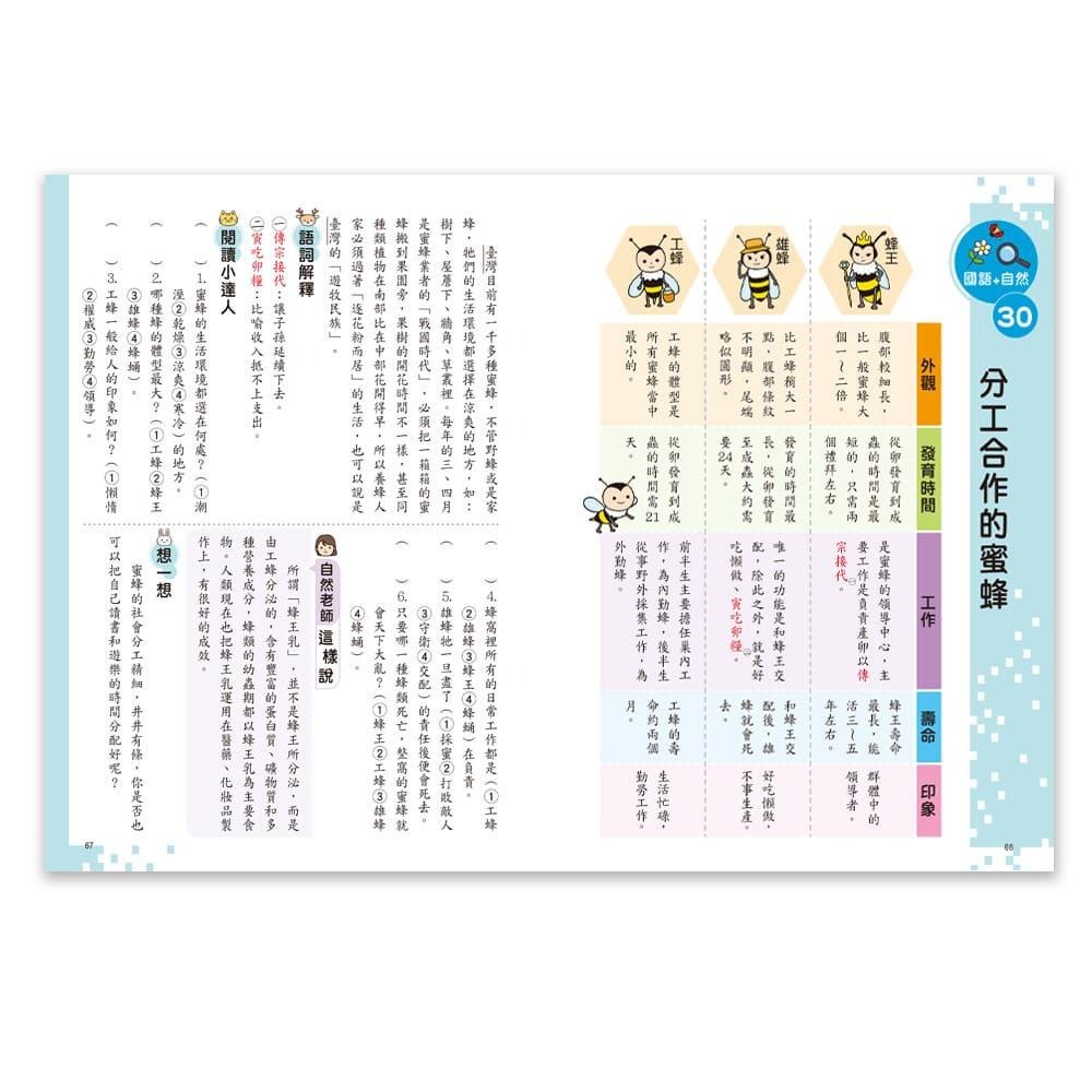 世一小學生的跨領域閱讀(低)小學生的跨領域閱讀(中)小學生的跨領域閱讀(高)📢賣場訂單滿150元 才出貨喔!📢謝謝您！/ 親子家庭-細節圖9