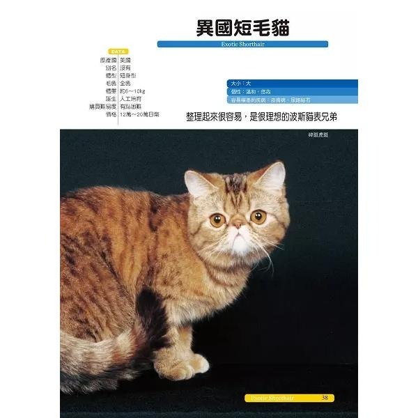 一分鐘圖解 不可思議的貓知識 /   我家的貓咪調教與飼養法   /  超人氣貓種圖鑑47 / 透過貓咪的日常習性、行為互動與肢體語言， 完全解析貓咪的好惡、需求、生理健康， 及最細膩的內心世界。-細節圖8