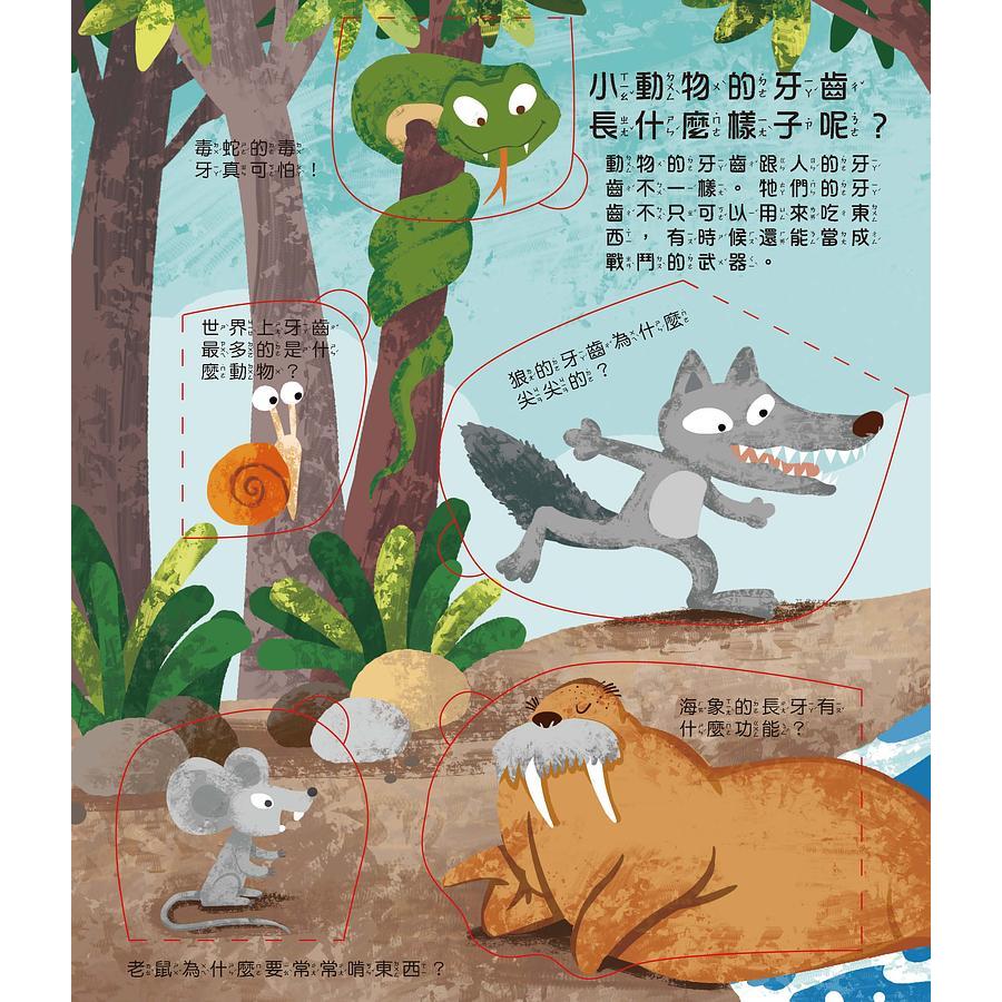 牙齒呢? 翻翻書 (低幼版)  男孩? 女孩? 翻翻書 (低幼版)  一問一答 簡單易懂 一翻一合 趣味十足  孩子的小腦袋瓜中總有許多ＷＨＹ？ＷＨＹ？ＷＨＹ？  通過一問一答，動手翻翻找答案的過程，  親子家庭-細節圖5