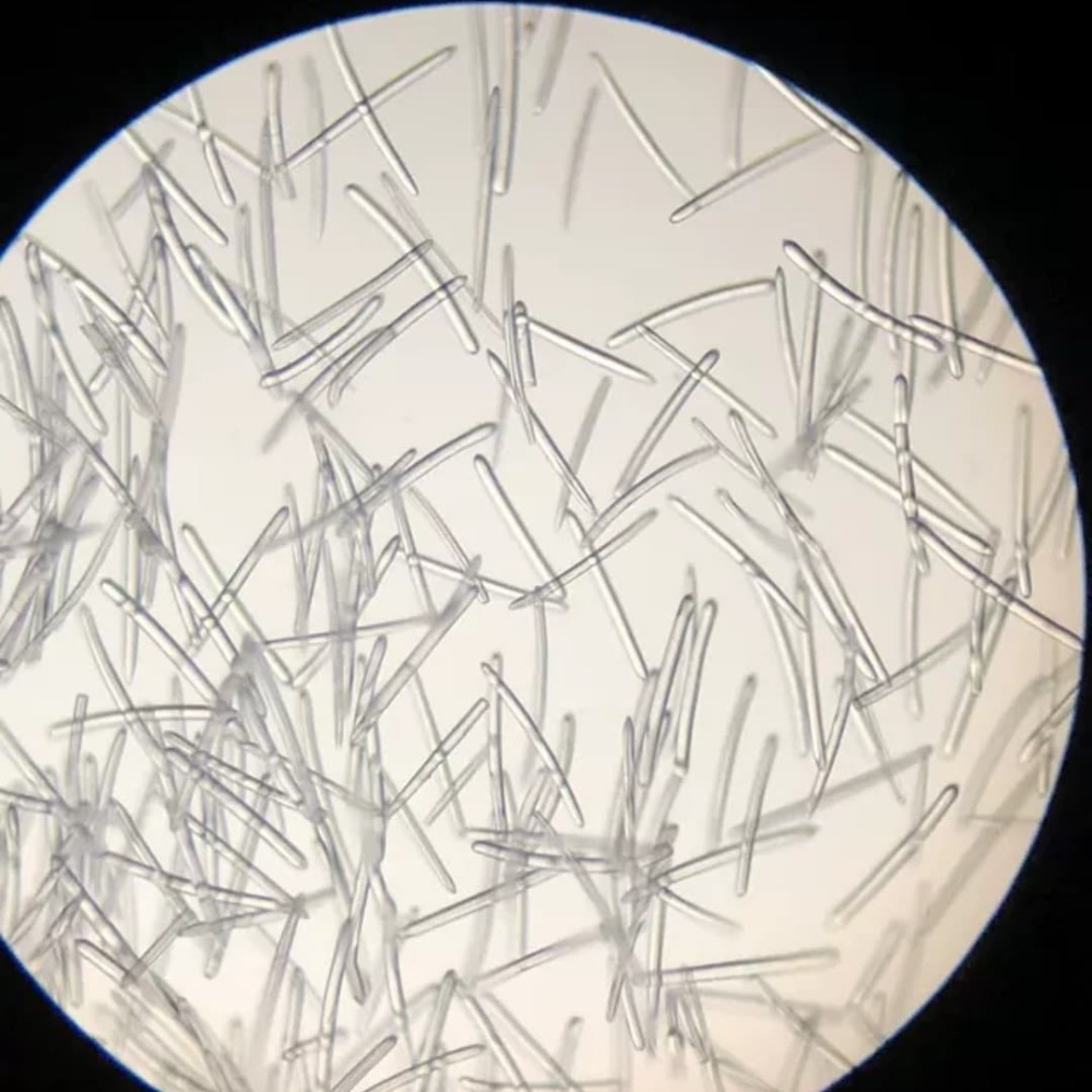 [MIT台灣出貨]白藻針(S99)/長針/純白藻針/矽針/鑽石微晶/中長針/spongilla powder-細節圖3