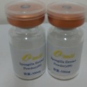 [MIT台灣出貨]中針藻針(S40)/海綿微針/多款藻針/矽針/骨針/spongilla powder-規格圖11