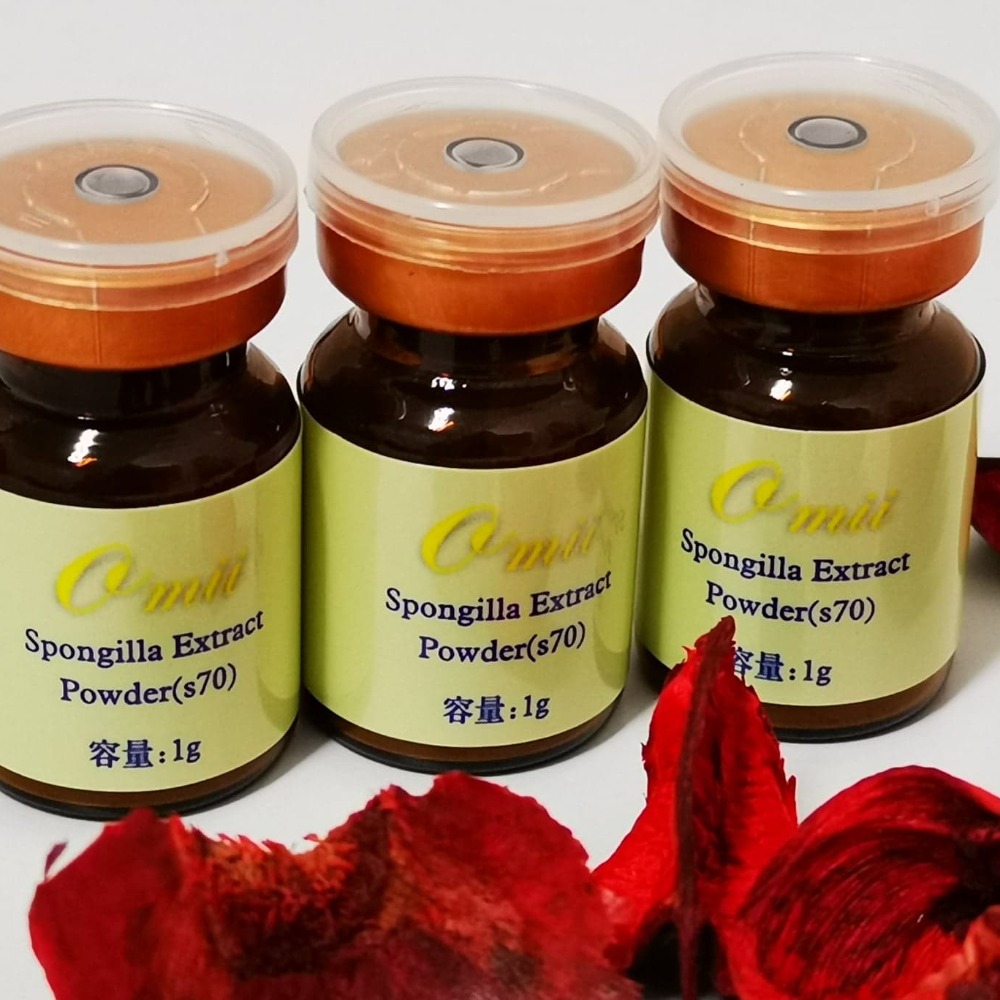 [MIT台灣出貨]短中針藻針(S30)/海綿微針/多款藻針/矽針骨針/白藻針/矽藻/spongilla powder-細節圖2