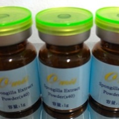 [MIT台灣出貨]短針藻針(S20)/海綿微針/矽針/骨針/藻針原料/矽藻/spongilla powder-細節圖4