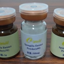 [MIT台灣出貨]短針藻針(S20)/海綿微針/矽針/骨針/藻針原料/矽藻/spongilla powder-細節圖10