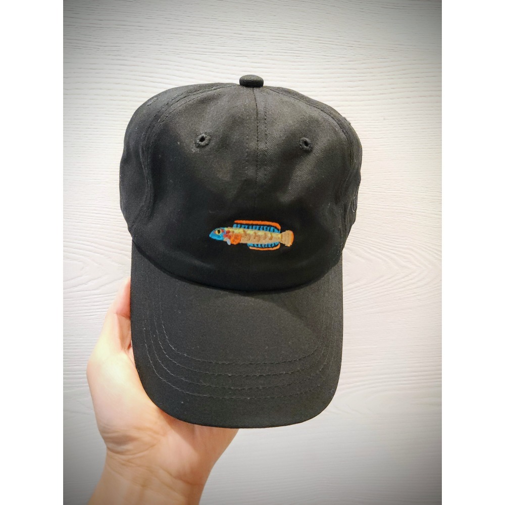 偷養魚的冰火雷龍老帽-細節圖2