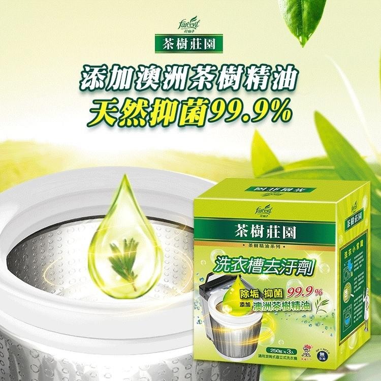 茶樹莊園 洗衣槽去汙劑-茶樹精油(250gx3入)-細節圖2