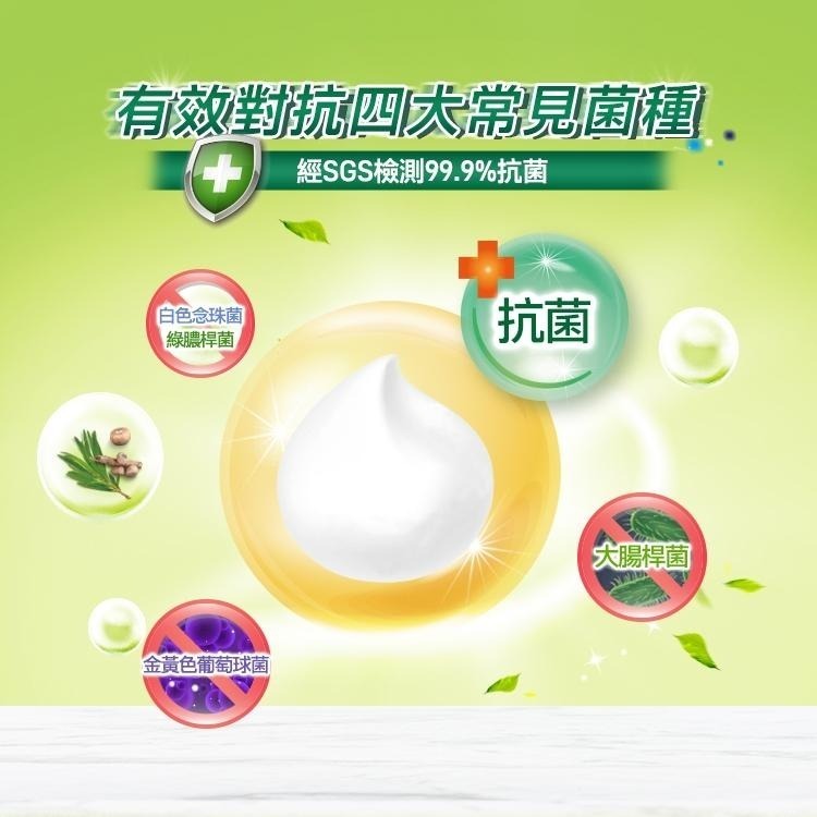 【茶樹莊園】大容量 茶樹抗菌洗手慕斯-茶樹/茶樹檸檬 抗菌 洗手乳 洗手液 新舊包裝隨機出貨-細節圖2