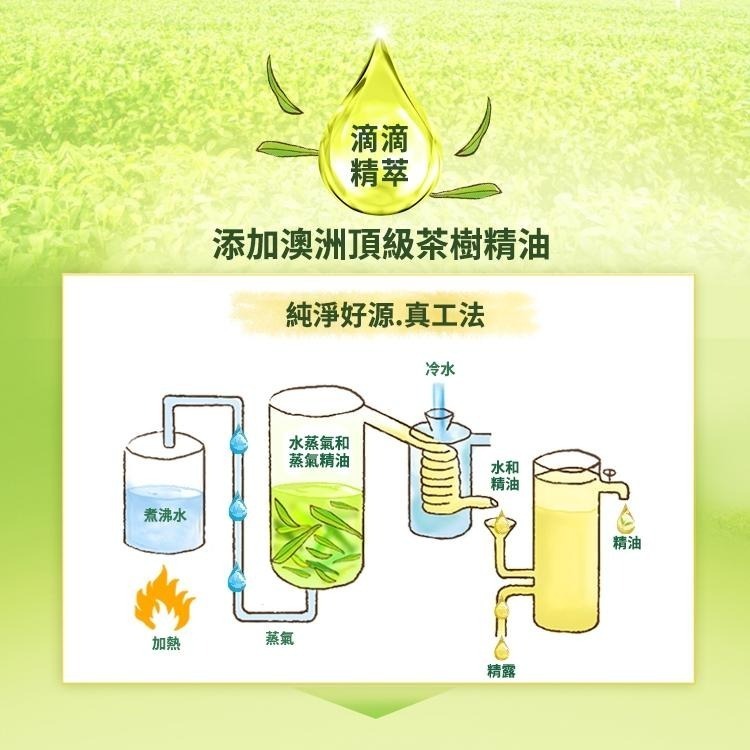 【茶樹莊園】大容量 茶樹抗菌洗手慕斯-茶樹/茶樹檸檬 抗菌 洗手乳 洗手液 新舊包裝隨機出貨-細節圖3