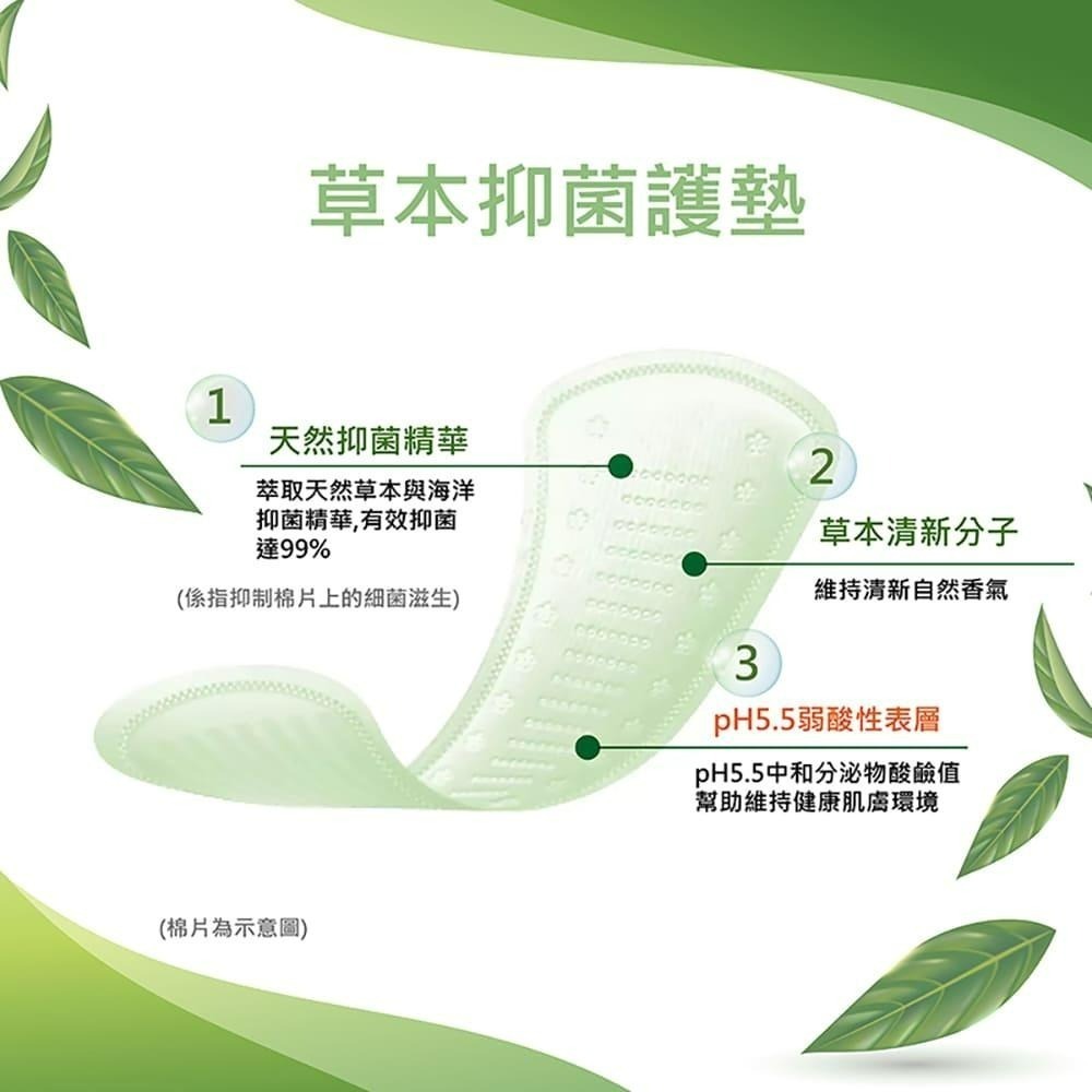 靠得住Kotex 草本抑菌護墊PH5.5 平常日用 14.5公分 X 56片 X 6包-細節圖2