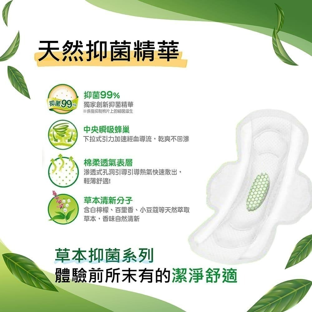【Kotex 靠得住】14.5公分日用草本抑菌護墊 (56片x6包)/草本抑菌褲型衛生棉(36入/箱)三種尺寸 護墊-細節圖5