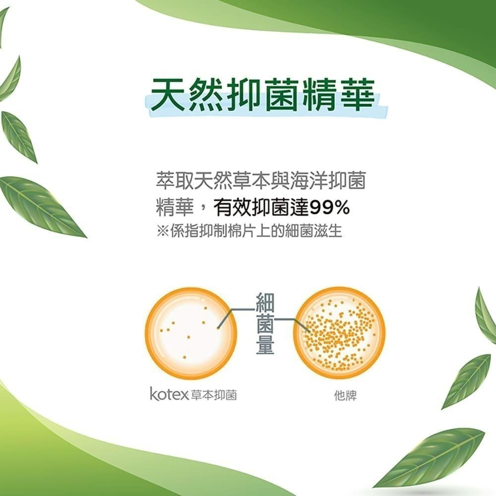 【Kotex 靠得住】14.5公分日用草本抑菌護墊 (56片x6包)/草本抑菌褲型衛生棉(36入/箱)三種尺寸 護墊-細節圖6