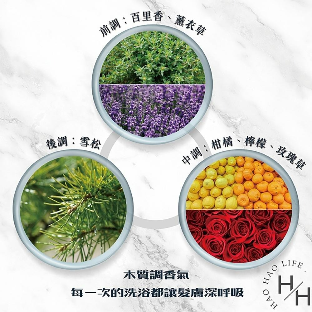 【森歐黎漾】植研萃淨平衡 洗髮露/極致護髮素/ 茶樹抗屑洗髮露(1200毫升/)大容量 護髮乳 洗髮乳-細節圖8