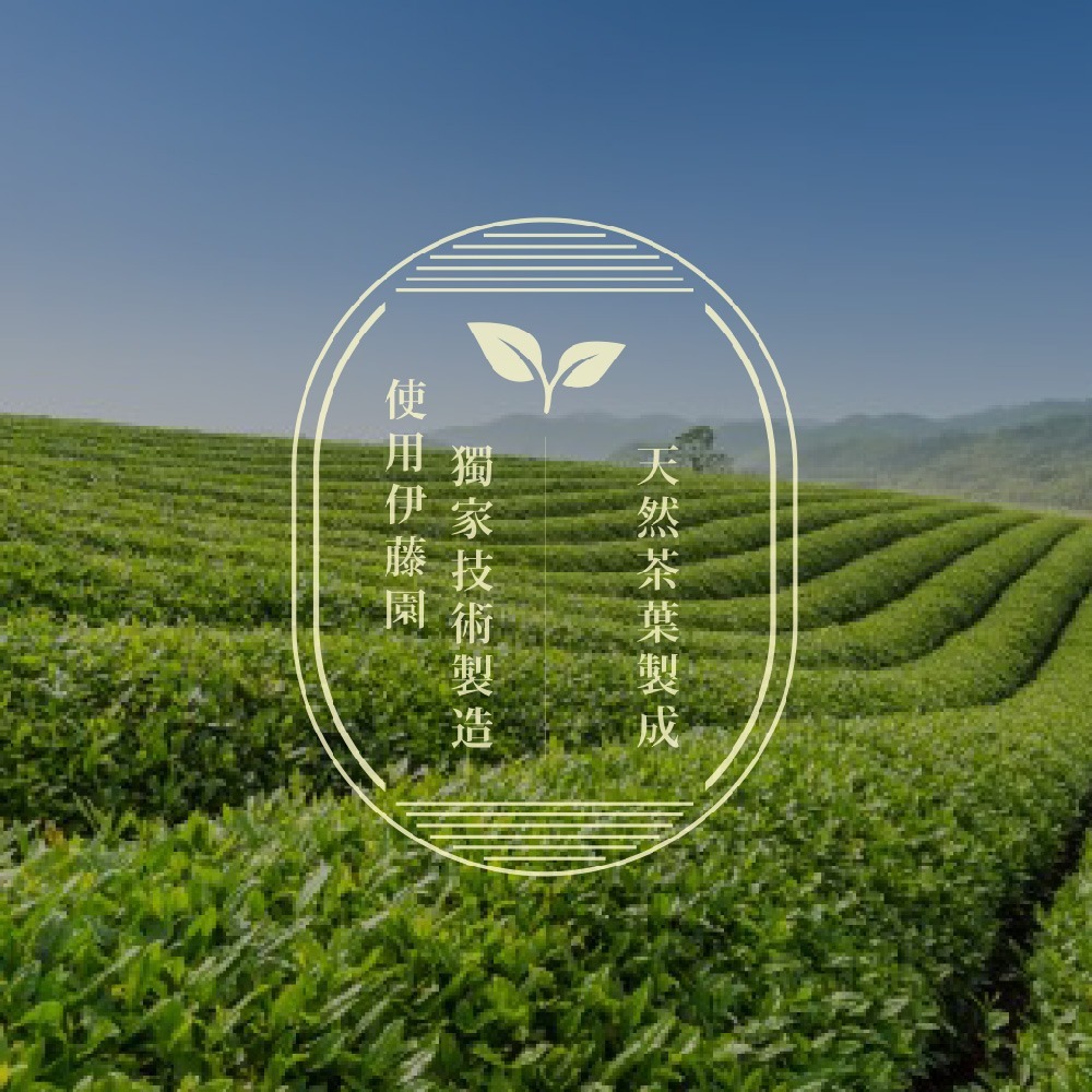 好市多現貨快出【伊藤園】日式綠茶530mlX24瓶 日本 無糖 無香料 綠茶 烏龍茶 茶 茶葉 天然 健康 中元普-細節圖5