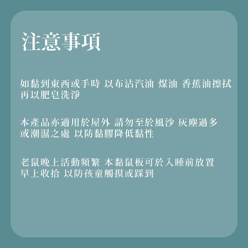 優品X柴語錄 黏牢鼠環保黏鼠板 黏鼠板 兩片裝 原味 五香滷味 老鼠板 抓老鼠 黏鼠 黏鼠板-細節圖4