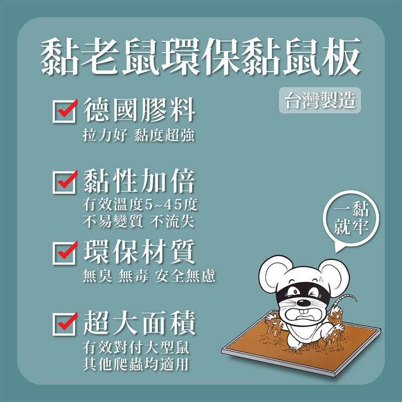 優品X柴語錄 黏牢鼠環保黏鼠板 黏鼠板 兩片裝 原味 五香滷味 老鼠板 抓老鼠 黏鼠 黏鼠板-細節圖7