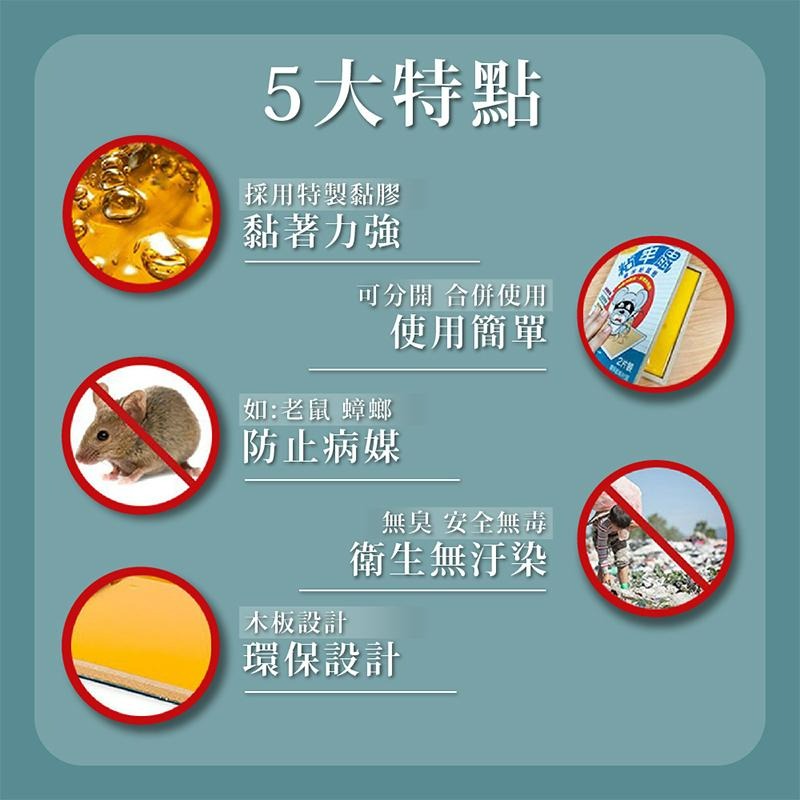 優品X柴語錄 黏牢鼠環保黏鼠板 黏鼠板 兩片裝 原味 五香滷味 老鼠板 抓老鼠 黏鼠 黏鼠板-細節圖8
