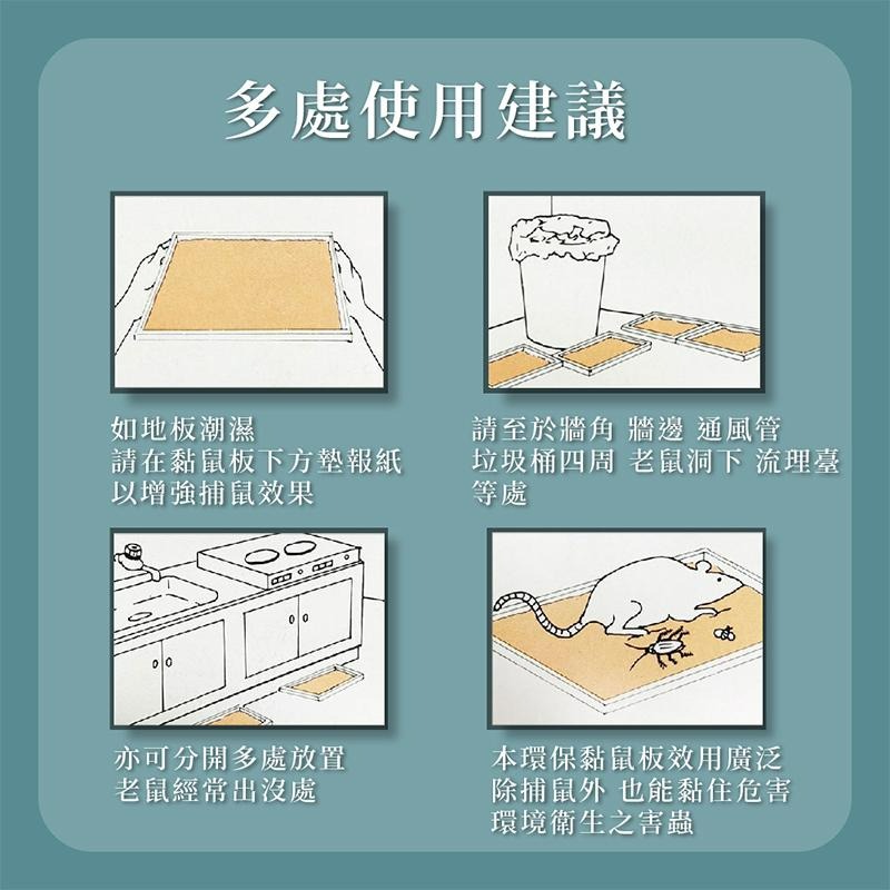 優品X柴語錄 黏牢鼠環保黏鼠板 黏鼠板 兩片裝 原味 五香滷味 老鼠板 抓老鼠 黏鼠 黏鼠板-細節圖9
