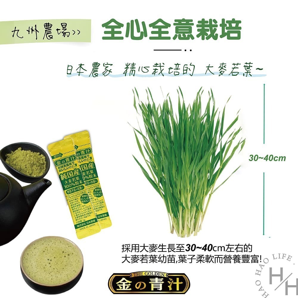 好市多現貨快出 The Golden 大麥若葉粉末(3公克X176包/盒)山本漢方 大麥若葉粉末+奇亞籽144公克 沖泡-細節圖8