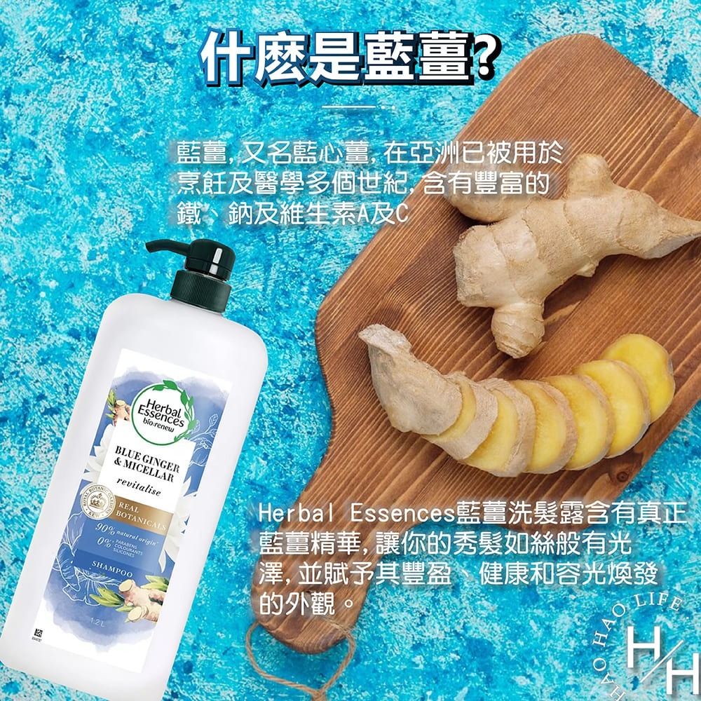 Herbal Essences 藍薑草本豐盈清香洗髮露、潤髮乳任選 1.2公升 天然成分 呵護秀髮-細節圖6
