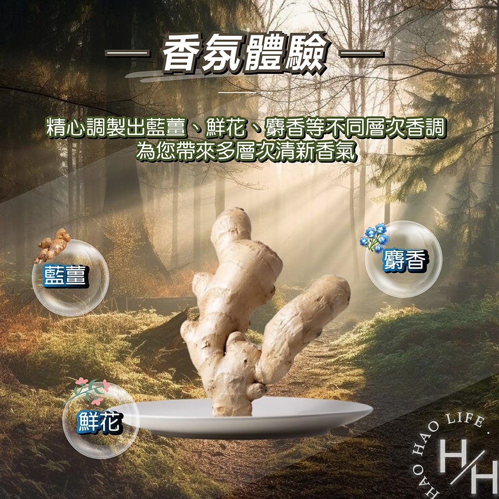 Herbal Essences 藍薑草本豐盈清香洗髮露、潤髮乳任選 1.2公升 天然成分 呵護秀髮-細節圖3