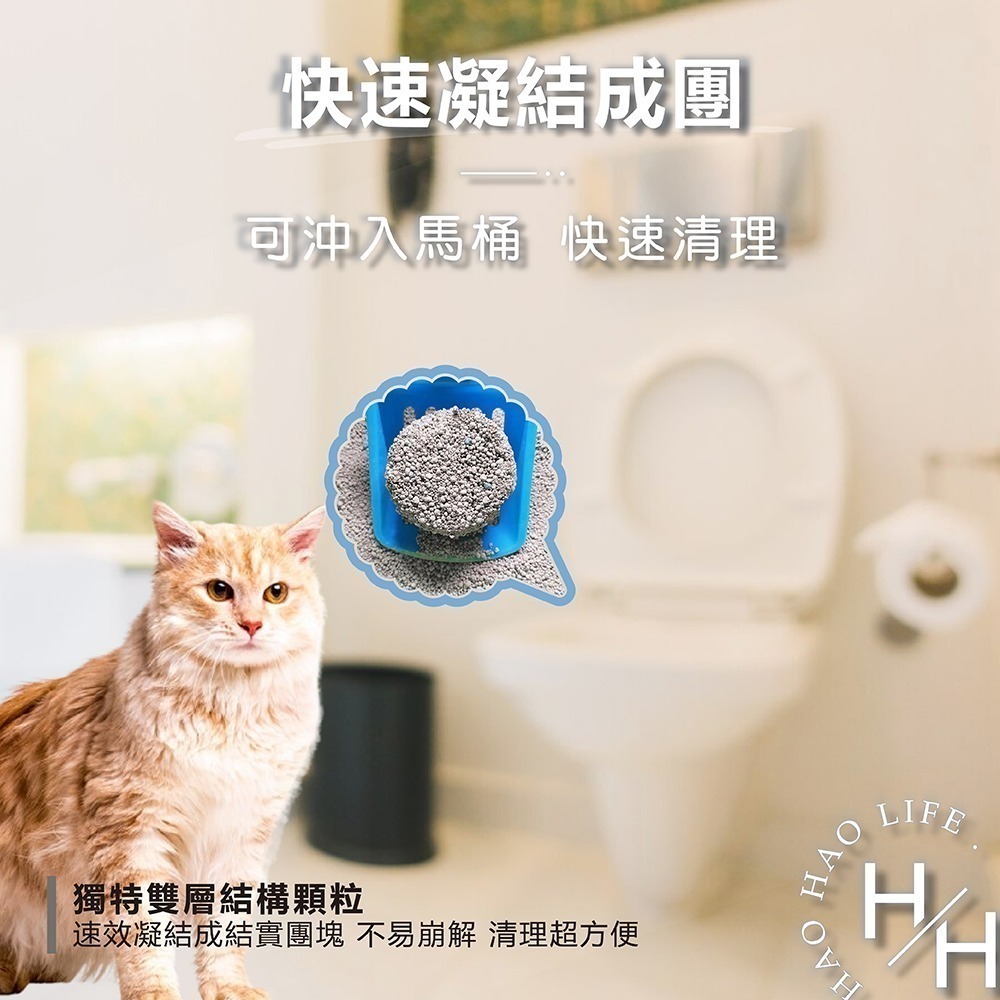 ‼️福利品出清‼️【Tidy Cats】高效清香凝結罐裝貓砂6.35公斤 好市多 寵物 貓砂 貓咪廁所 舒適 清理 抑臭-細節圖6