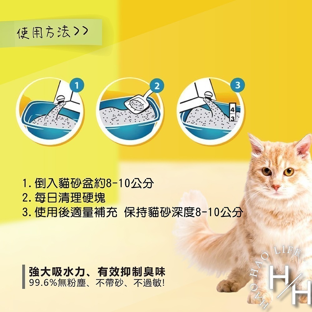 ‼️福利品出清‼️【Tidy Cats】高效清香凝結罐裝貓砂6.35公斤 好市多 寵物 貓砂 貓咪廁所 舒適 清理 抑臭-細節圖7