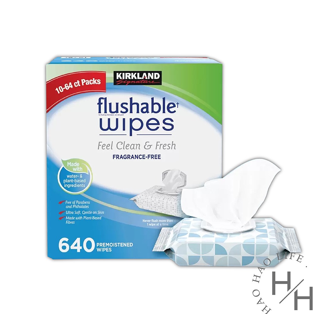 現貨快出 科克蘭濕式衛生紙 64張 X 10包 超商限購一箱 好市多 COSTCO-規格圖7