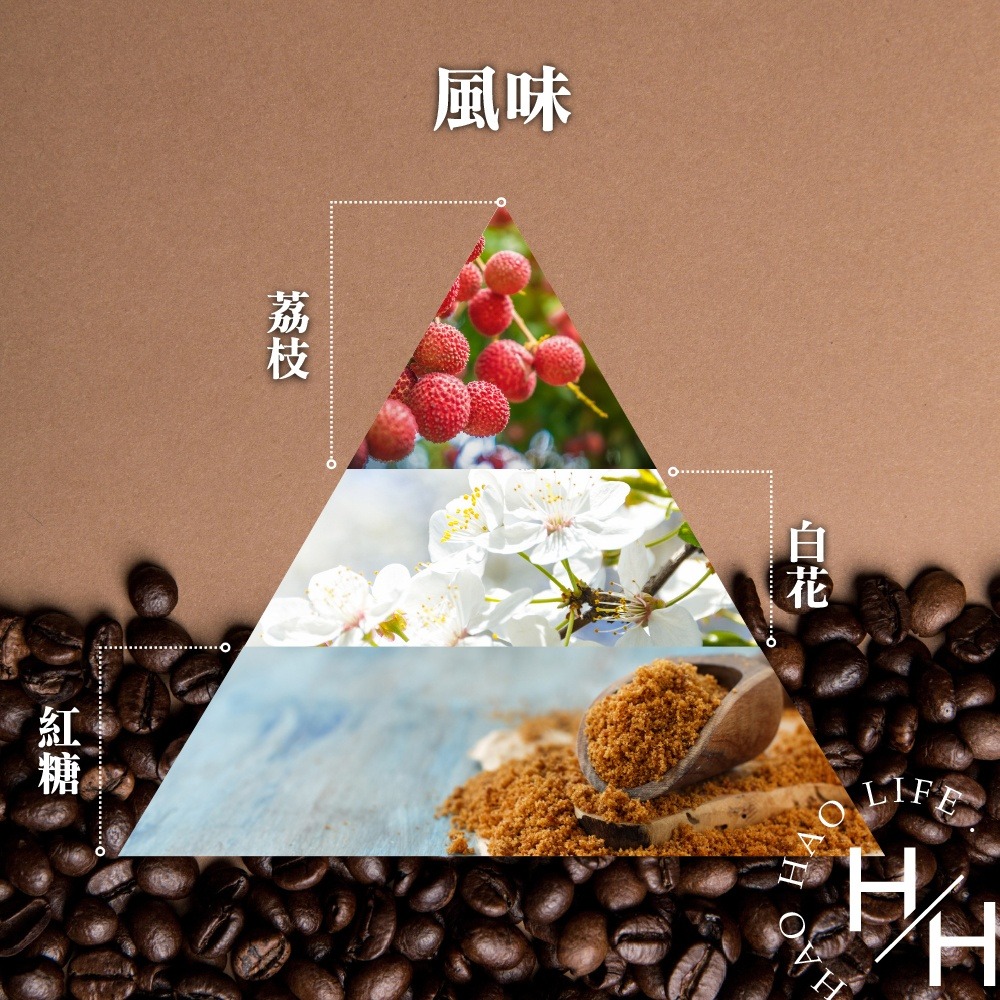 現貨發票 CAFE!N 禮盒組 耶加雪菲 咖啡豆 200g + 隨行杯 高品質 中焙 咖啡 沖泡飲品 好市多-細節圖7