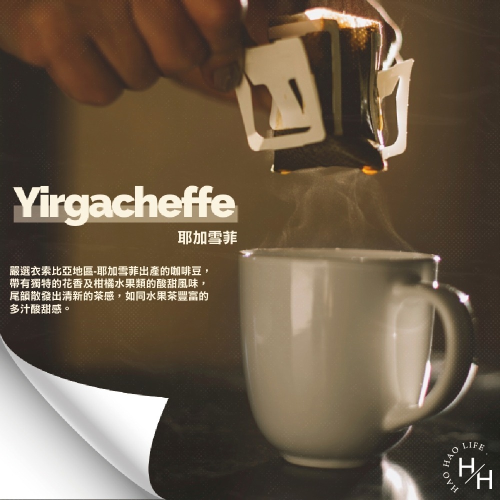 COSCO好市多 現貨 CAFE!N硬咖啡 耶加雪菲濾掛咖啡 10公克 X 50入 研磨咖啡粉 衣索比亞咖啡 水洗-細節圖3