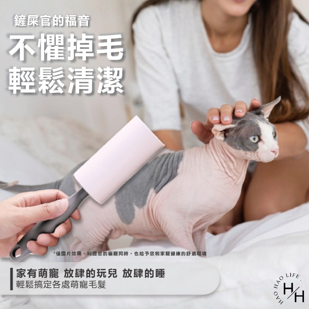 現貨快出 灰色毛絮黏把 22公分 補充包 4支組/包 黏毛滾輪 黏性強 可掛式 可撕式 除塵 除棉絮 清潔 寵物-細節圖7