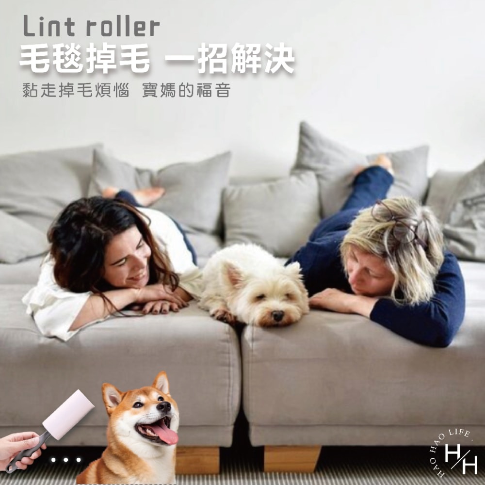 現貨快出 灰色毛絮黏把 22公分 補充包 4支組/包 黏毛滾輪 黏性強 可掛式 可撕式 除塵 除棉絮 清潔 寵物-細節圖9