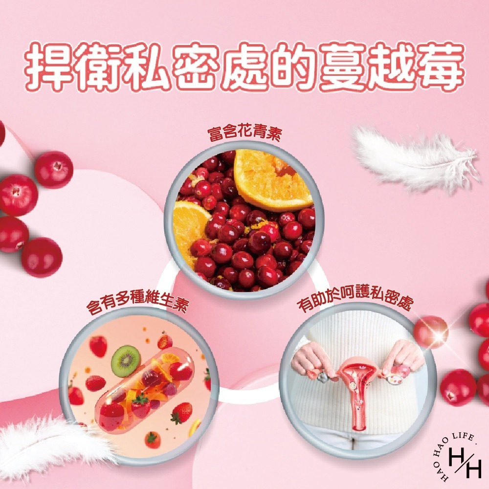 新品上市 Mdmmd明洞 現貨 新涼感抑菌衛生棉-超涼感蔓越莓系列 愛康 蘇菲 涼感衛生棉 日用 夜用-細節圖4