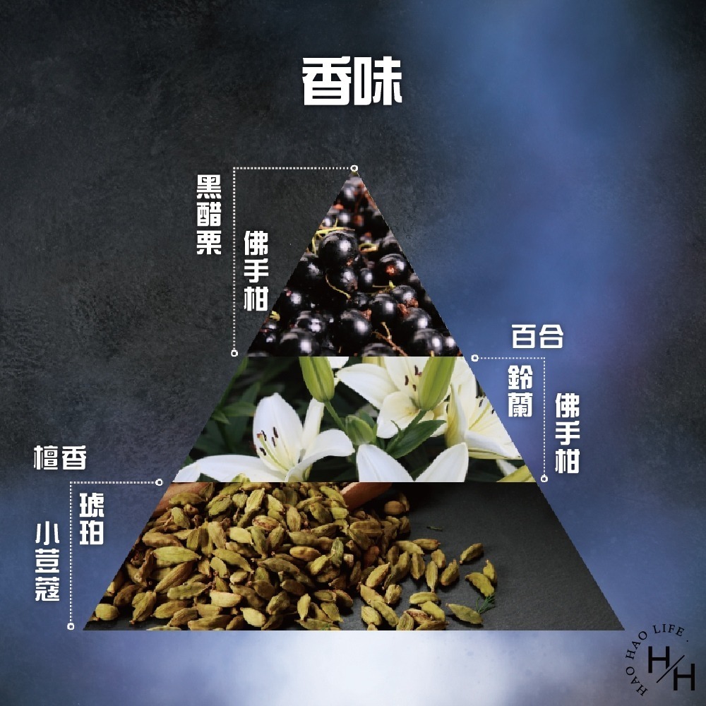 現貨快出 Maro 起立 3D 豐盈洗髮精 460毫升 好市多 蓬髮 洗髮乳 男性洗髮精 頭皮調理-細節圖7