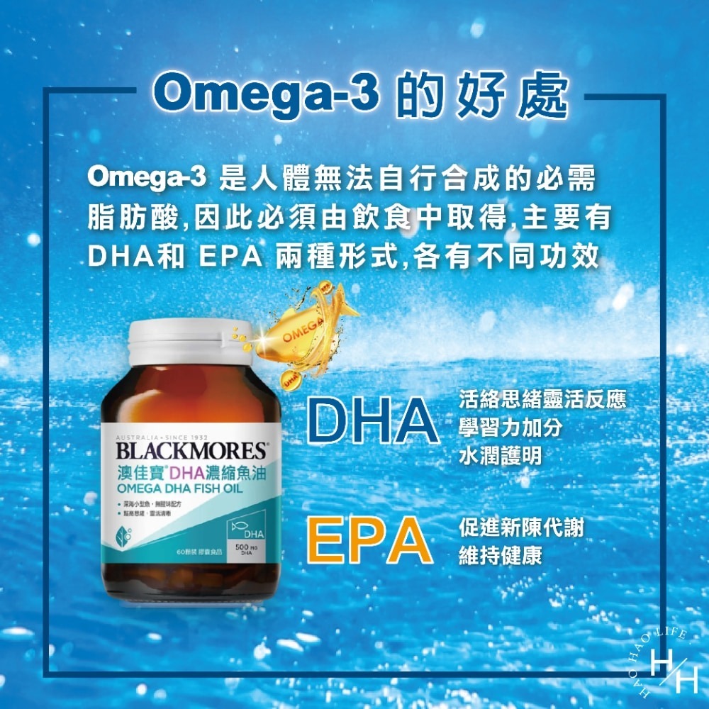 好市多 現貨快出 澳佳寶 DHA精粹濃縮深海魚60粒/瓶 男女保健 成人保健 日常保養 Omega-3 孕期補給-細節圖6