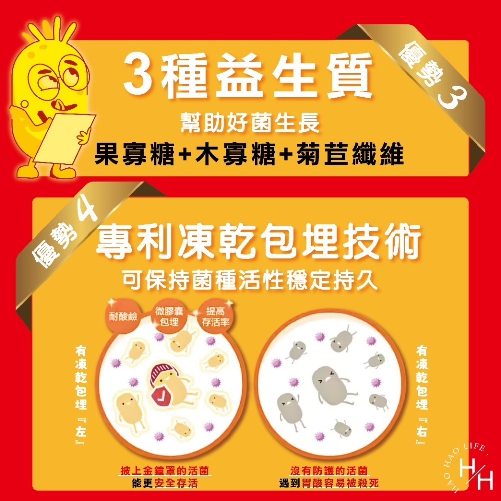 好市多現貨快出【威德】益生菌顆粒(90包) 益生菌 腸胃道保健 保健食品 每日保健 消化道益菌-細節圖6