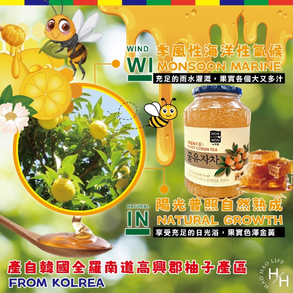 【韓國NOKCHAWON綠茶園】蜂蜜柚子茶(1KG/罐 ) 沖泡飲品 蜂蜜 果汁 果醬 維他命 柚子 韓國 柚子茶-細節圖3