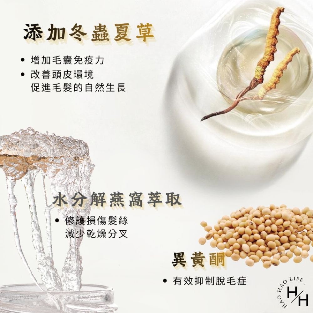 現貨快出【More Rebelis蓓立絲】養髮精華液(120ML) 護髮 頭髮精華液 活化 頭皮護理 頭髮護理 強化頭皮-細節圖7