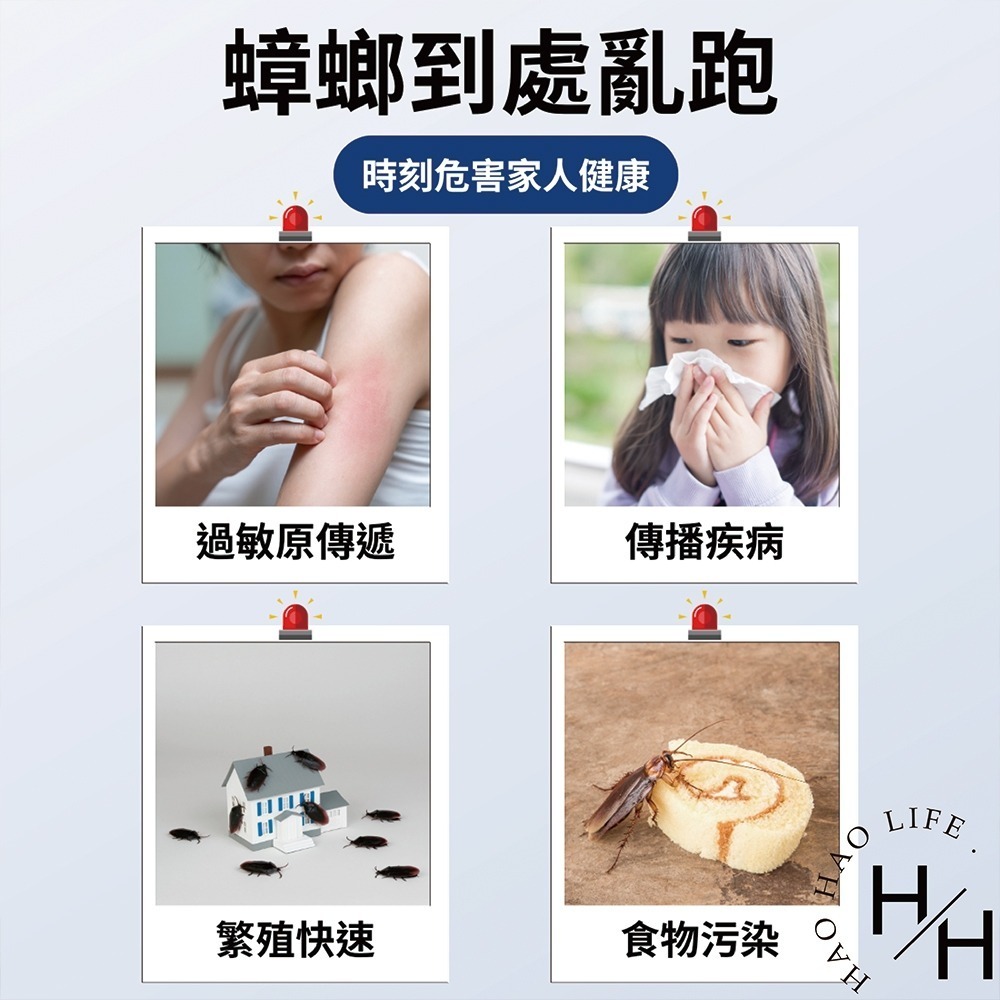 現貨快出 優品 針消蟑除蟑凝膠10g 蟑螂藥 除蟑藥 柴語錄 效期:2026/07/09-細節圖4
