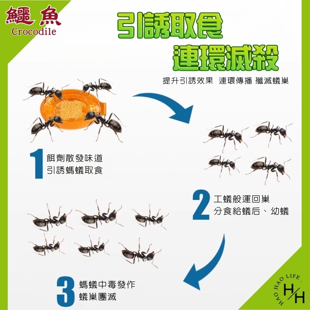好市多現貨快出【鱷魚】 除螞蟻凝膠劑 (10gX4入/盒) 除蟻 好市多除螞蟻凝膠劑-細節圖5