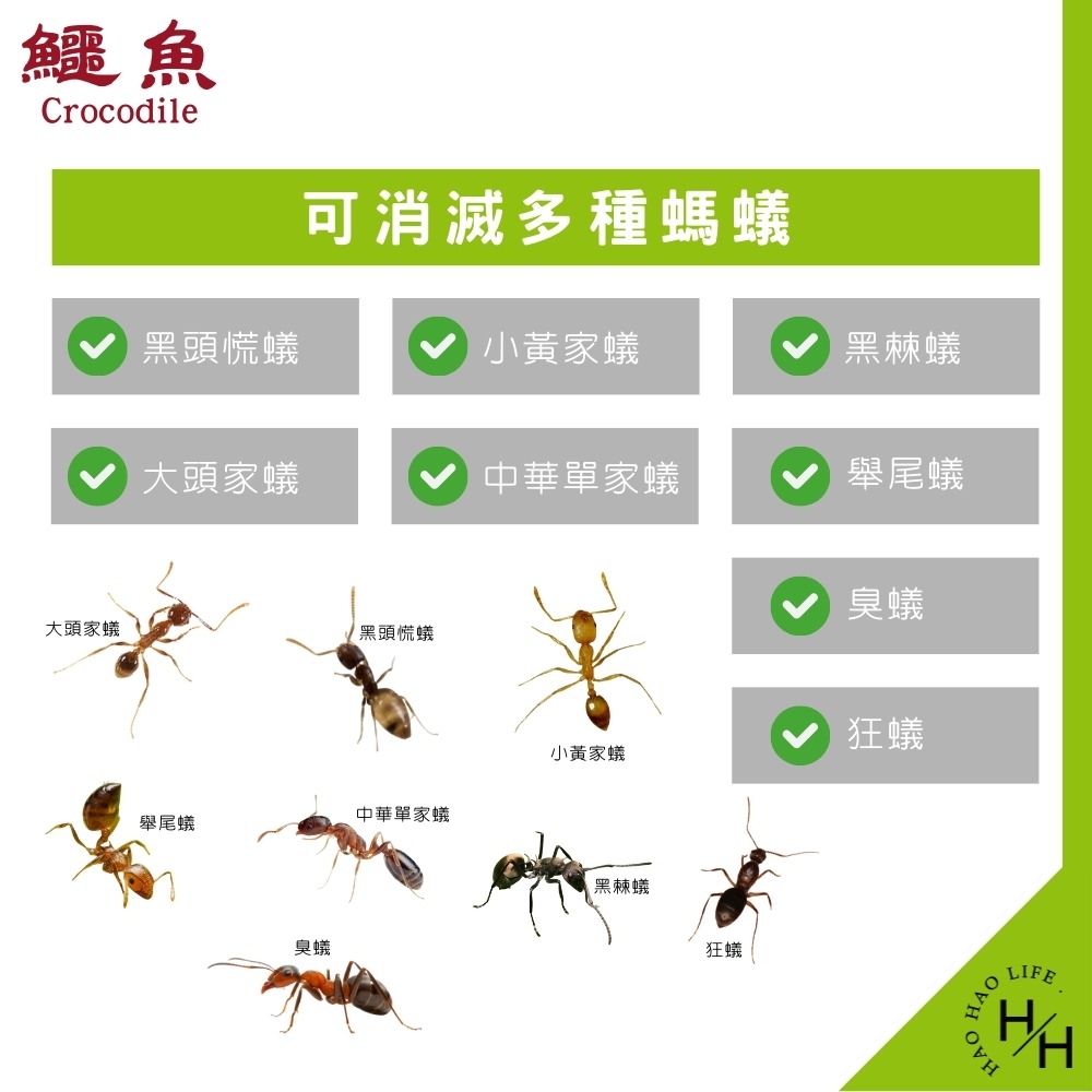 好市多現貨快出【鱷魚】 除螞蟻凝膠劑 (10gX4入/盒) 除蟻 好市多除螞蟻凝膠劑-細節圖7