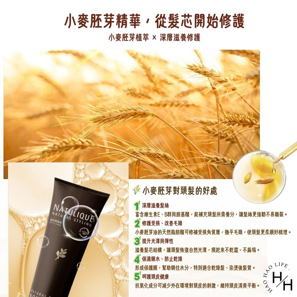 現貨快出【Natulique】滋養調理霜(免沖洗護髮)150ml 塑捲調理霜 滋養調理霜 摩洛哥阿甘油 巴西莓瞬效乳-細節圖3