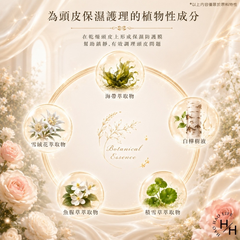 現貨快出【jmella】法式漫舞香水洗髮精-花園舞會 弱酸性溫和配方(500ml/瓶) 洗髮精 洗髮乳 香水洗髮精 韓國-細節圖7