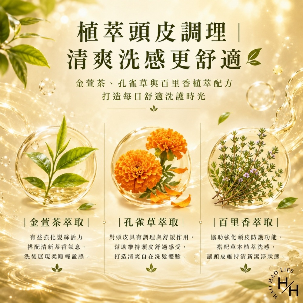 現貨快出【tsaio上山採藥】日光金萱 頭皮洗髮露 (600ml/瓶) 洗髮精 洗髮乳 洗髮露 洗髮 上山採藥 日光金萱-細節圖5