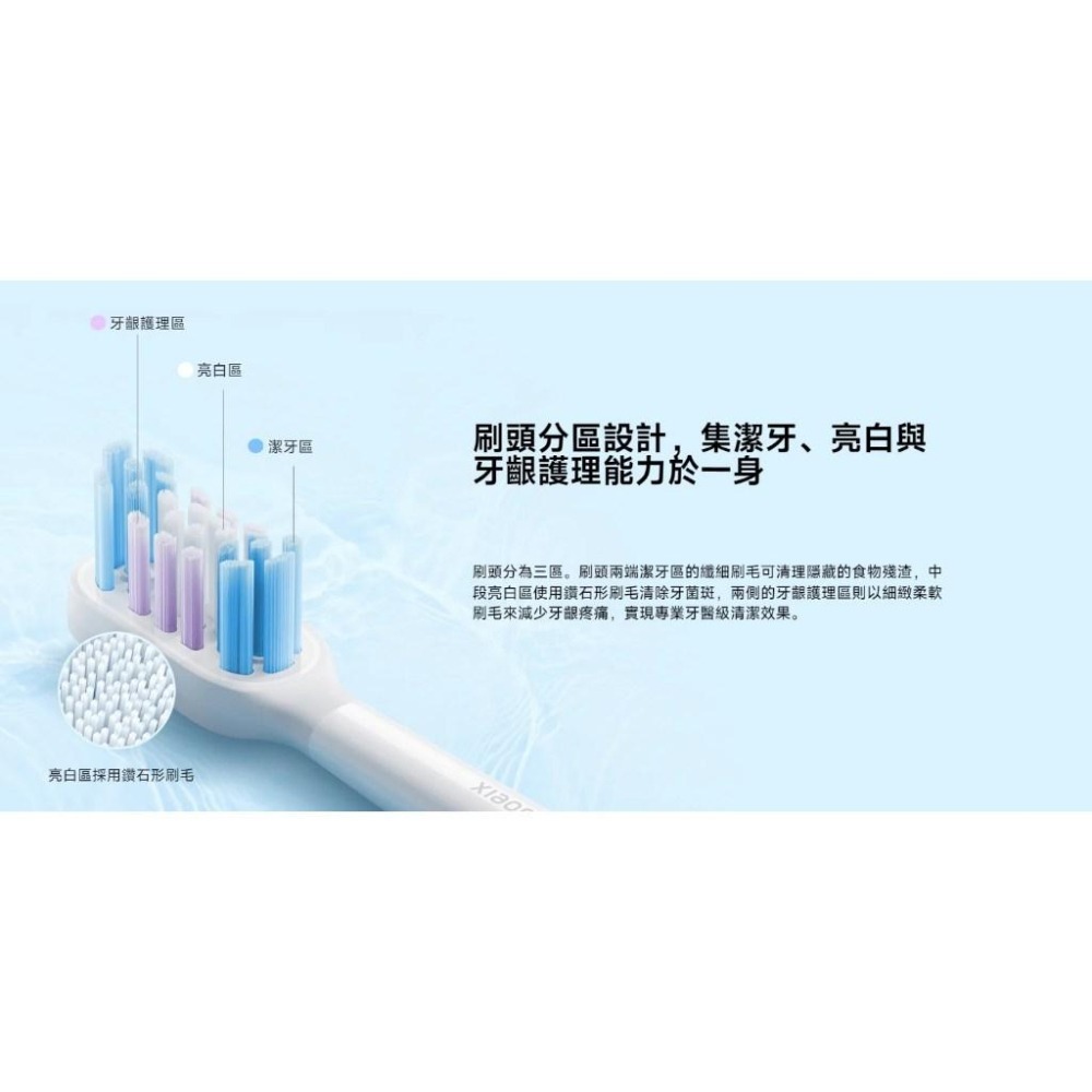 【含稅快速出貨】Xiaomi 聲波電動牙刷頭 （T501專用） (台灣小米公司貨)-細節圖5