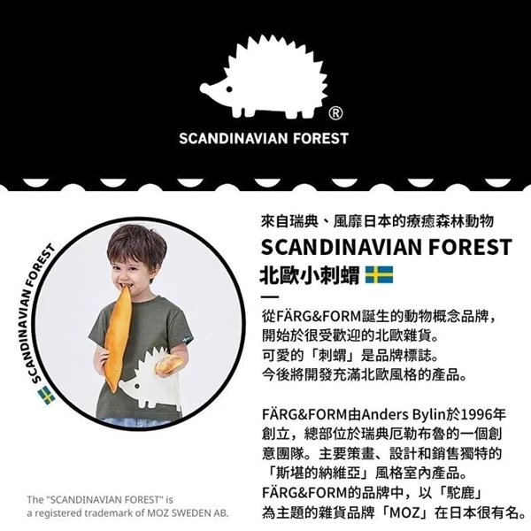 「現貨專區」 北歐小刺蝟 乖刺寶毛氈包 瑞典設計品牌 毛氈包 手提包 手拿包 肩背包 SCANDINAVIAN F-細節圖4