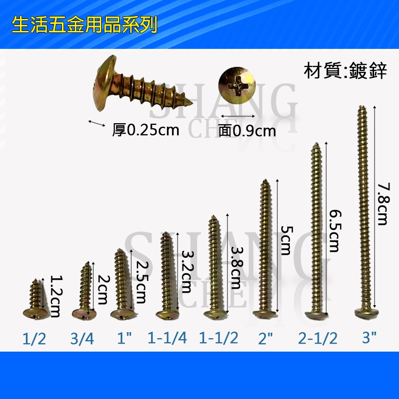 台灣製造 鍍鋅鐵板牙螺絲 大扁頭1/2 3/4 1＂ 1-1/4簡易螺絲 鐵板牙螺絲 鐵皮螺絲 螺絲 鐵盒螺絲 水電螺絲-細節圖4