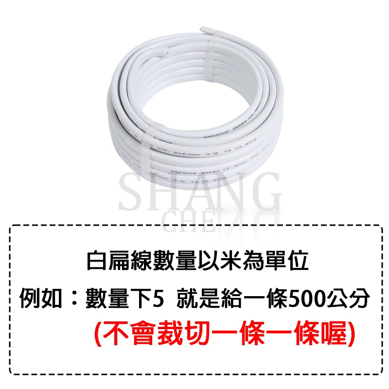 【零售價】 米為單位 雙龍牌 白扁線 1.6mm 2.0mm 2芯 白扁線 電線 電纜 華光 電源線 大亞-細節圖4