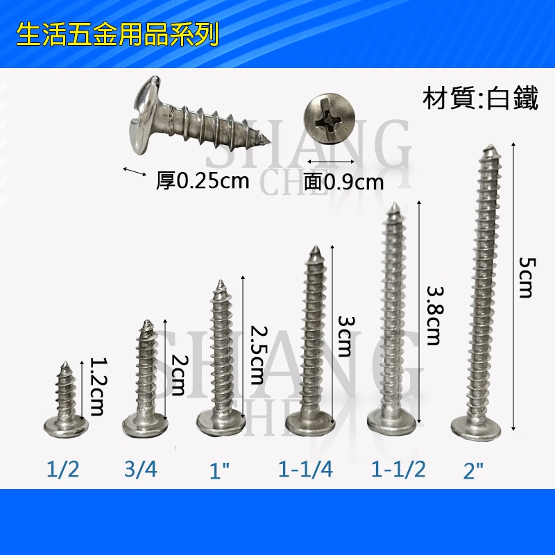 台灣製造 MIT 不鏽鋼螺絲 大扁頭鐵板牙螺絲 木工螺絲 十字 尖尾螺絲 白鐵 自攻螺絲 鐵板牙螺絲 不鏽鋼 水泥 高張-細節圖2