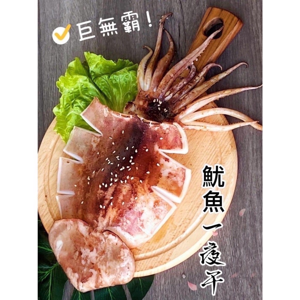 🦑薄鹽魷魚一夜干🦑規格：350-400g-細節圖4