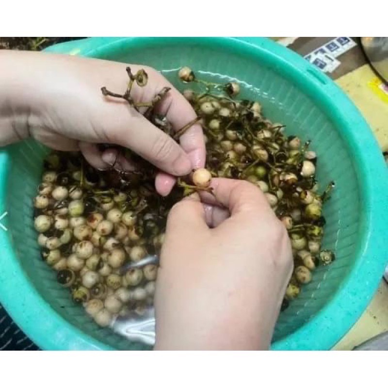 新到一批🔥新鮮做歡迎下單❤️超搶手的自製破布子(樹籽）-細節圖6